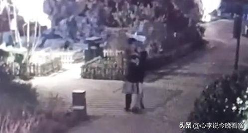 吃瓜视频大全完整版观看,揭秘娱乐圈幕后故事